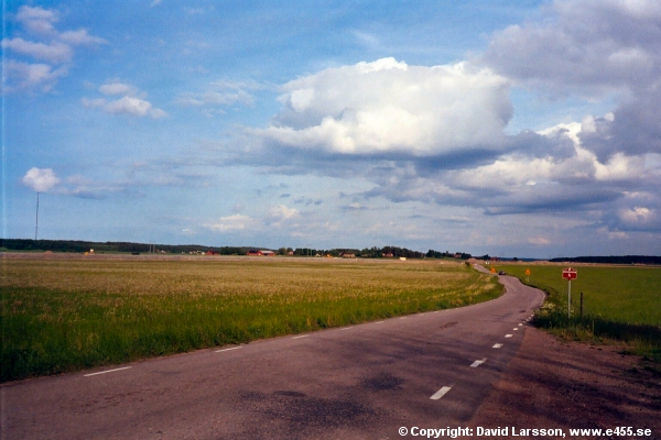 © Copyright: David Larsson