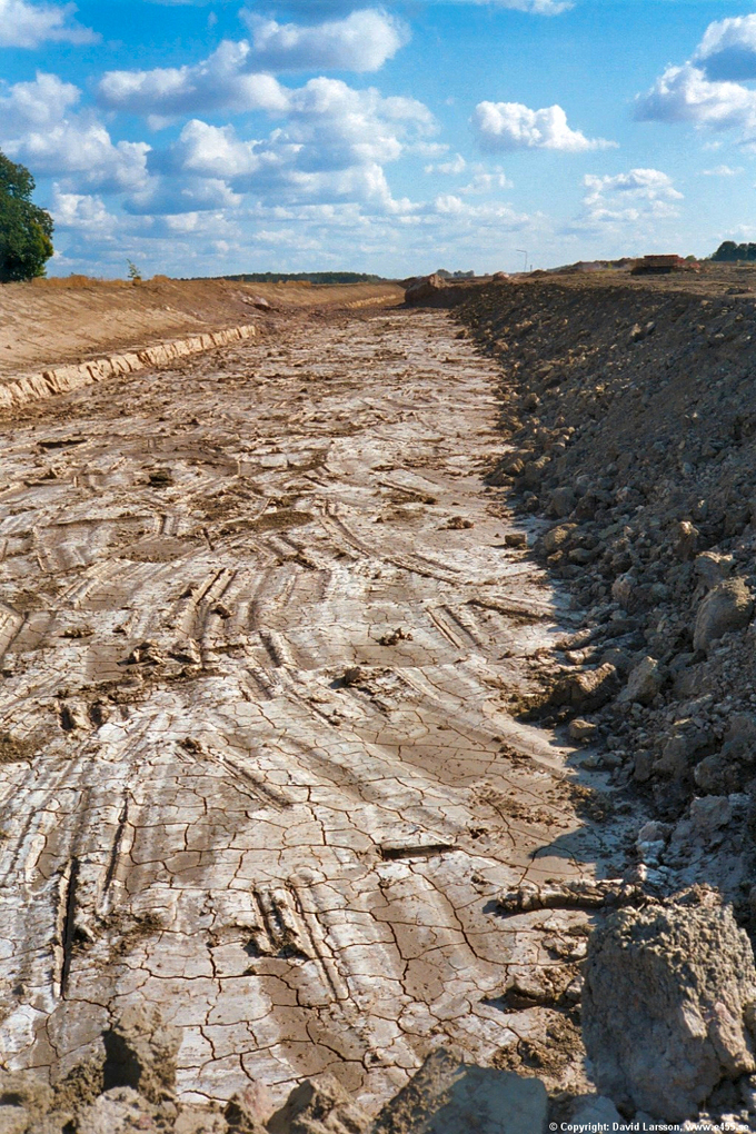 © Copyright: David Larsson