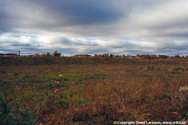 © Copyright: David Larsson