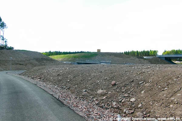 © Copyright: David Larsson