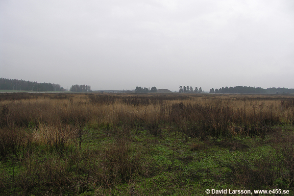 © Copyright: David Larsson