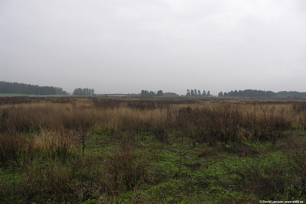 © Copyright: David Larsson