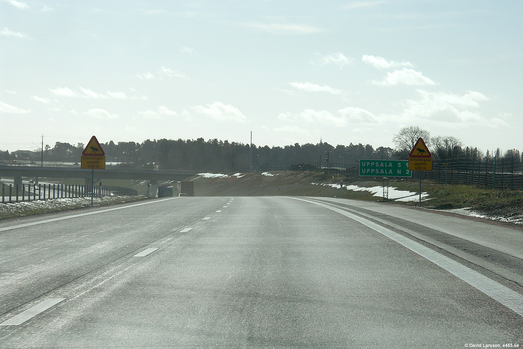 © Copyright: David Larsson